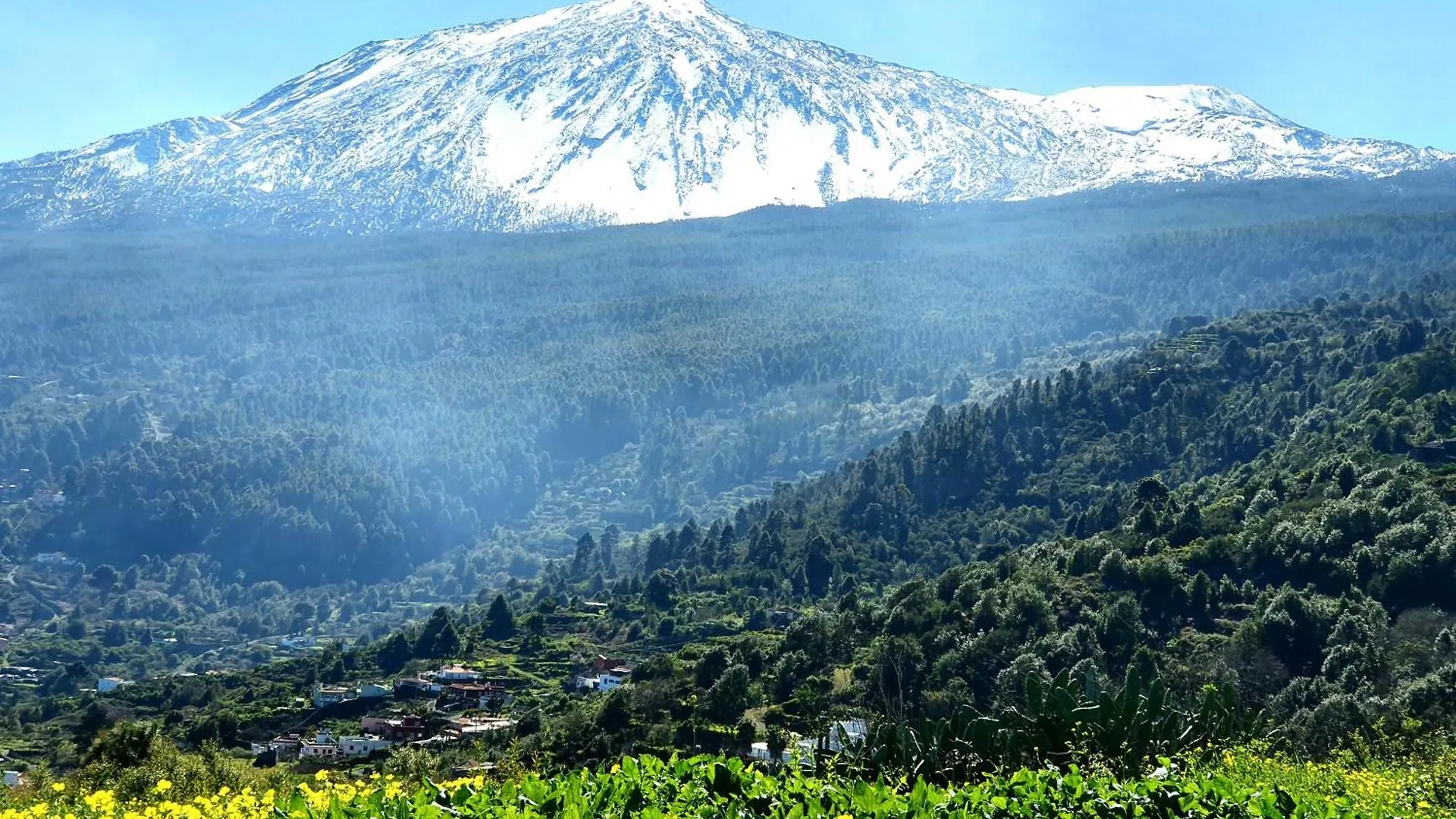 Prázdninový dům Barbacue House Giovanni & Rosa A By Hrtenerife Net Icod De Los Vinos Španělsko